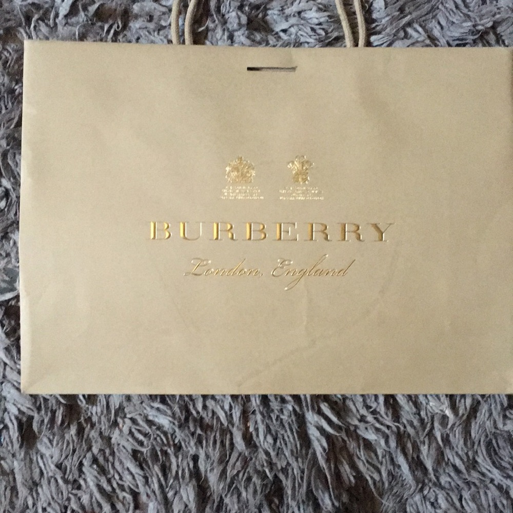 Large Burberry paper bag